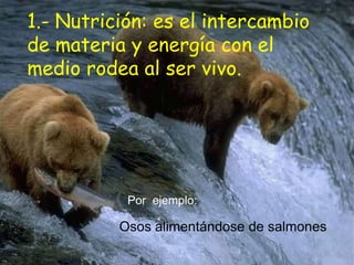 1.- Nutrición: es el intercambio
de materia y energía con el
medio rodea al ser vivo.




           Por ejemplo:

          Osos alimentándose de salmones
 