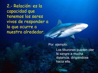2.- Relación: es la
capacidad que
tenemos los seres
vivos de responder a
lo que ocurre a
nuestro alrededor.

                       Por ejemplo:
                           Los tiburones pueden oler
                           la sangre a mucha
                           distancia, dirigiéndose
                           hacia ella.
 