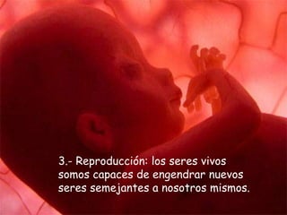 3.- Reproducción: los seres vivos
somos capaces de engendrar nuevos
seres semejantes a nosotros mismos.
 