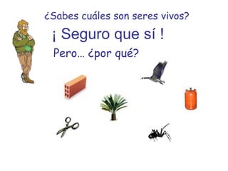 ¿Sabes cuáles son seres vivos?
 ¡ Seguro que sí !
 Pero… ¿por qué?
 