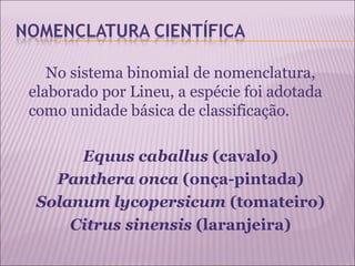 No sistema binomial de nomenclatura,
elaborado por Lineu, a espécie foi adotada
como unidade básica de classificação.
                      
        Equus caballus (cavalo)
    Panthera onca (onça-pintada)
 Solanum lycopersicum (tomateiro)
      Citrus sinensis (laranjeira)
 
