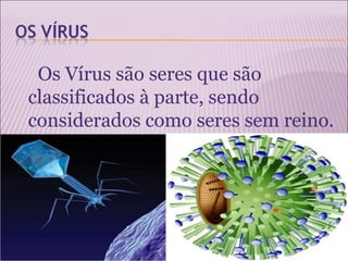 Os Vírus são seres que são
classificados à parte, sendo
considerados como seres sem reino.
 