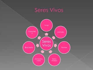 Fungi


   Eubacteri                             Animalia
      a




                  Seres
Bacteria
                  Vivos                      Plantae




           Archeaba            Reino
             cteria           Protista
 