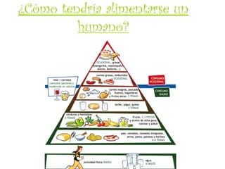 ¿Cómo tendría alimentarse un
         humano?
 