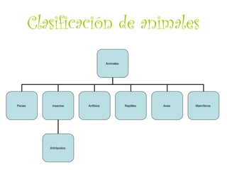 Clasificación de animales
                                   Animales




Peces       insectos    Anfibios              Reptiles   Aves   Mamíferos




           Artrópodos
 