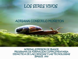 LOS SERES VIVOS
ADRIANA CONSUELO MUÑETON
NORMAL SUPERIOR DE IBAGUE
PROGRAMA DE FORMACION COMPLEMENTARIA
DIDACTICA DE LAS CIENCIAS Y LAS TECNOLOGIAS
IBAGUE 2013
 