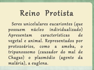 Reino Protista
Seres unicelulares eucariontes (que
possuem núcleo individualizado)
Apresentam características de
vegetal e animal. Representados por
protozoários, como a ameba, o
tripanossomo (causador do mal de
Chagas) o plasmódio (agente da
malária), a euglena.
 