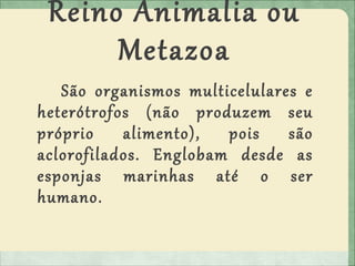 Reino Animalia ou
Metazoa
São organismos multicelulares e
heterótrofos (não produzem seu
próprio alimento), pois são
aclorofilados. Englobam desde as
esponjas marinhas até o ser
humano.
 