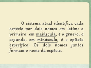 O sistema atual identifica cada
espécie por dois nomes em latim: o
primeiro, em maiúscula, é o gênero, o
segundo, em minúscula, é o epíteto
específico. Os dois nomes juntos
formam o nome da espécie.
 