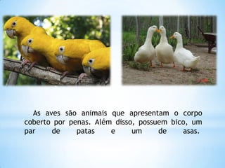 As aves são animais que apresentam o corpo
coberto por penas. Além disso, possuem bico, um
par de patas e um de asas.
 