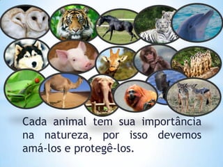 Cada animal tem sua importância
na natureza, por isso devemos
amá-los e protegê-los.
 