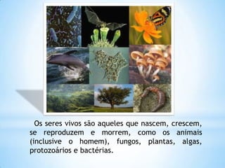 Os seres vivos são aqueles que nascem, crescem,
se reproduzem e morrem, como os animais
(inclusive o homem), fungos, plantas, algas,
protozoários e bactérias.
 