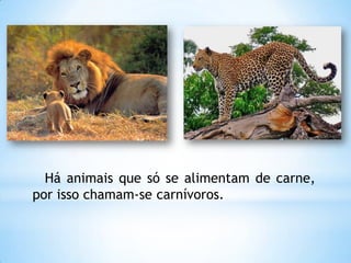 Há animais que só se alimentam de carne,
por isso chamam-se carnívoros.
 