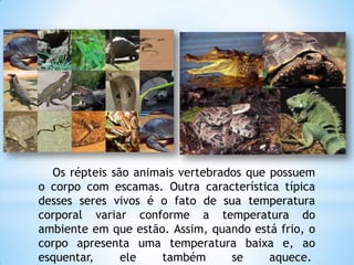 Os répteis são animais vertebrados que possuem
o corpo com escamas. Outra característica típica
desses seres vivos é o fato de sua temperatura
corporal variar conforme a temperatura do
ambiente em que estão. Assim, quando está frio, o
corpo apresenta uma temperatura baixa e, ao
esquentar, ele também se aquece.
 