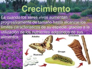 Es cuando los seres vivos aumentan 
progresivamente de tamaño hasta alcanzar los 
límites característicos de su especie, gracias a la 
utilización de los nutrientes adquiridos de sus 
alimentos. 
 