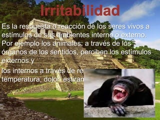 Es la respuesta o reacción de los seres vivos a 
estímulos de sus ambientes interno o externo. 
Por ejemplo los animales: a través de los 
órganos de los sentidos, perciben los estímulos 
externos y 
los internos a través de receptores de 
temperatura, dolor, estiramiento. 
 