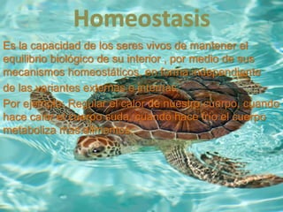 Es la capacidad de los seres vivos de mantener el 
equilibrio biológico de su interior , por medio de sus 
mecanismos homeostáticos, en forma independiente 
de las variantes externas e internas. 
Por ejemplo: Regular el calor de nuestro cuerpo, cuando 
hace calor el cuerpo suda, cuando hace frío el cuerpo 
metaboliza mas alimentos. 
 
