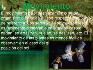 El movimiento es el desplazamiento de un 
organismo o parte de él, con respecto a un punto 
de referencia. Los seres vivos se mueven, esto 
es fácilmente observable en algunos casos: 
nadan, se arrastran, vuelan, se deslizan, etc. El 
movimiento de las plantas es menos fácil de 
observar: en el caso del girasol, su flor sigue la 
posición del sol. 
 