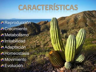 Reproducción 
Crecimiento 
Metabolismo 
Irritabilidad 
Adaptación 
Homeostasis 
Movimiento 
Evolución 
 