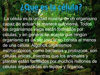 La célula es la unidad mínima de un organismo 
capaz de actuar de manera autónoma. Todos 
los organismos vivos están formados por 
células, y en general se acepta que ningún 
organismo es un ser vivo si no consta al menos 
de una célula. Algunos organismos 
microscópicos, como bacterias y protozoos, son 
células únicas, mientras que los animales y 
plantas están formados por muchos millones de 
células organizadas en tejidos y órganos. 
 