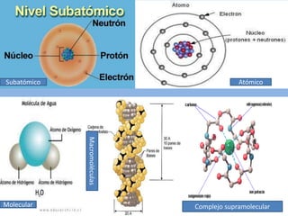 Subatómico Atómico 
Molecular 
Macromoléculas 
Complejo supramolecular 
 