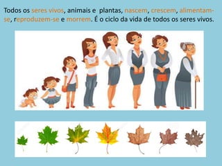 Seres vivos | PPTX