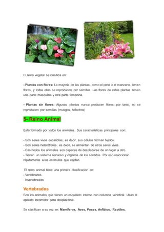 El reino vegetal se clasifica en:
- Plantas con flores: La mayoría de las plantas, como el peral o el manzano, tienen
flores, y todas ellas se reproducen por semillas. Las flores de estas plantas tienen
una parte masculina y otra parte femenina.
- Plantas sin flores: Algunas plantas nunca producen flores; por tanto, no se
reproducen por semillas (musgos, helechos)
5- Reino Animal
Está formado por todos los animales. Sus características principales son:
- Son seres vivos eucariotas, es decir, sus células forman tejidos.
- Son seres heterótrofos, es decir, se alimentan de otros seres vivos.
- Casi todos los animales son capaces de desplazarse de un lugar a otro.
- Tienen un sistema nervioso y órganos de los sentidos. Por eso reaccionan
rápidamente a los estímulos que captan.
El reino animal tiene una primera clasificación en:
- Vertebrados
- Invertebrados
Vertebrados
Son los animales que tienen un esqueleto interno con columna vertebral. Usan el
aparato locomotor para desplazarse.
Se clasifican a su vez en: Mamíferos, Aves, Peces, Anfibios, Reptiles.
 