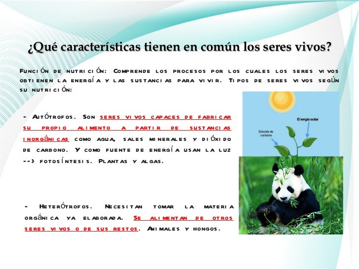 Seres vivos 1ª parte