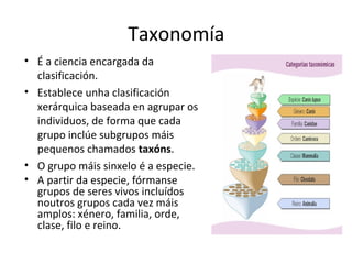 Taxonomía 
• É a ciencia encargada da 
clasificación. 
• Establece unha clasificación 
xerárquica baseada en agrupar os 
individuos, de forma que cada 
grupo inclúe subgrupos máis 
pequenos chamados taxóns. 
• O grupo máis sinxelo é a especie. 
• A partir da especie, fórmanse 
grupos de seres vivos incluídos 
noutros grupos cada vez máis 
amplos: xénero, familia, orde, 
clase, filo e reino. 
 