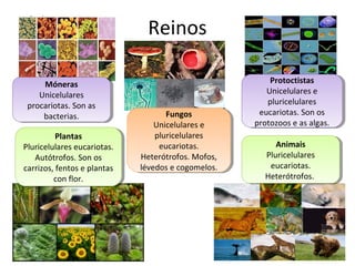 Reinos 
Móneras 
Unicelulares 
Móneras 
Unicelulares 
procariotas. Son as 
procariotas. Son as 
bacterias. 
bacterias. 
Protoctistas 
Unicelulares e 
pluricelulares 
eucariotas. Son os 
protozoos e as algas. 
Protoctistas 
Unicelulares e 
pluricelulares 
eucariotas. Son os 
protozoos e as algas. 
Fungos 
Fungos 
Unicelulares e 
pluricelulares 
eucariotas. 
Unicelulares e 
pluricelulares 
eucariotas. 
Heterótrofos. Mofos, 
lévedos e cogomelos. 
Heterótrofos. Mofos, 
lévedos e cogomelos. 
Plantas 
Plantas 
Pluricelulares eucariotas. 
Pluricelulares eucariotas. 
Autótrofos. Son os 
Autótrofos. Son os 
carrizos, fentos e plantas 
carrizos, fentos e plantas 
con flor. 
con flor. 
Animais 
Pluricelulares 
eucariotas. 
Heterótrofos. 
Animais 
Pluricelulares 
eucariotas. 
Heterótrofos. 
 