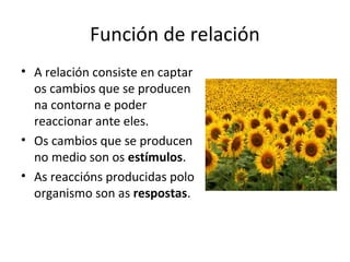 Función de relación 
• A relación consiste en captar 
os cambios que se producen 
na contorna e poder 
reaccionar ante eles. 
• Os cambios que se producen 
no medio son os estímulos. 
• As reaccións producidas polo 
organismo son as respostas. 
 