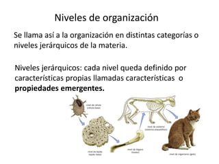 Niveles de organización
Se llama así a la organización en distintas categorías o
niveles jerárquicos de la materia.
Niveles jerárquicos: cada nivel queda definido por
características propias llamadas características o
propiedades emergentes.
 