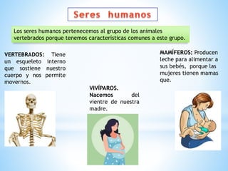 Los seres humanos pertenecemos al grupo de los animales
vertebrados porque tenemos características comunes a este grupo.
MAMÍFEROS: Producen
leche para alimentar a
sus bebés, porque las
mujeres tienen mamas
que.
VERTEBRADOS: Tiene
un esqueleto interno
que sostiene nuestro
cuerpo y nos permite
movernos.
VIVÍPAROS.
Nacemos del
vientre de nuestra
madre.
 