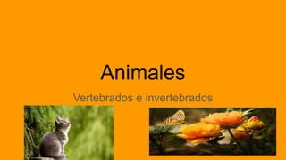 Animales
Vertebrados e invertebrados
 