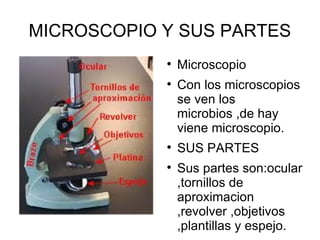MICROSCOPIO Y SUS PARTES Microscopio Con los microscopios se ven los microbios ,de hay viene microscopio. SUS PARTES Sus partes son:ocular ,tornillos de aproximacion ,revolver ,objetivos ,plantillas y espejo. 