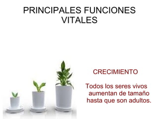 PRINCIPALES FUNCIONES VITALES CRECIMIENTO  Todos los seres vivos aumentan de tamaño hasta que son adultos. 