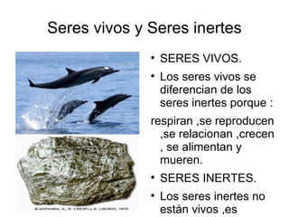 Seres vivos y Seres inertes SERES VIVOS. Los seres vivos se diferencian de los seres inertes porque : respiran ,se reproducen ,se relacionan ,crecen , se alimentan y mueren. SERES INERTES. Los seres inertes no están vivos ,es decir ,no tienen actividad corporal . 