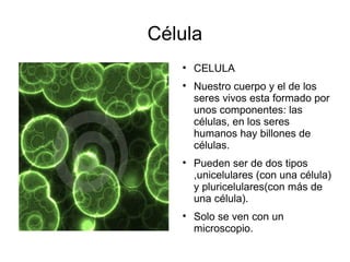 Célula CELULA Nuestro cuerpo y el de los seres vivos esta formado por unos componentes: las células, en los seres humanos hay billones de células. Pueden ser de dos tipos ,unicelulares (con una célula) y pluricelulares(con más de una célula). Solo se ven con un microscopio. 