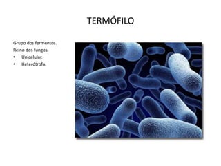 TERMÓFILO
Grupo dos fermentos.
Reino dos fungos.
• Unicelular.
• Heterótrofo.

 