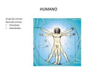 HUMANO
Grupo dos animais.
Reino dos animais.
• Pluricelular.
• Heterótrofos.

 