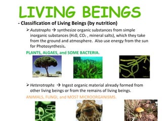 - Classification of Living Beings (by nutrition) Autotrophs    synthesize organic substances from simple inorganic substances (H 2 0, CO 2  , mineral salts), which they take from the ground and atmosphere.  Also use energy from the sun for Photosynthesis .   PLANTS, ALGAES, and SOME BACTERIA. Heterotrophs    Ingest organic material already formed from other living beings or from the remains of living beings.  ANIMALS, FUNGI, and MOST MICROORGANISMS.  LIVING BEINGS 
