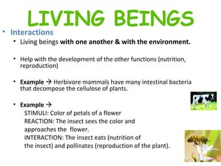 Interactions  Living beings  with one another & with the environment. Help with the development of the other functions (nutrition, reproduction)  Example    Herbivore mammals have many intestinal bacteria that decompose the cellulose of plants.  Example     STIMULI: Color of petals of a flower  REACTION: The insect sees the color and  approaches the  flower.  INTERACTION: The insect eats (nutrition of  the insect) and pollinates (reproduction of the plant).   LIVING BEINGS 