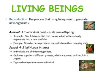 Reproduction:  The process that living beings use to generate new organisms.  Asexual     1 individual   produces its own offspring. Example:  Star fish (A starfish that breaks in half will eventually regenerate into a new starfish) Example: Strawberries reproduces asexually from their creeping stalk. Sexual     2 individuals interact   Individuals are of different genders. Each one supplies a different gamete, which are joined and result in a zygote. Zygote develops into a new individual.  LIVING BEINGS 