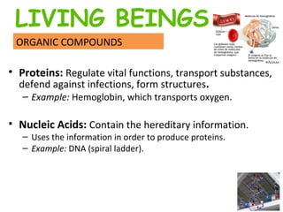 Proteins:  Regulate vital functions, transport substances, defend against infections, form structures .   Example:  Hemoglobin, which transports oxygen.  Nucleic Acids:  Contain the hereditary information.  Uses the information in order to produce proteins. Example:  DNA (spiral ladder).   ORGANIC COMPOUNDS LIVING BEINGS 