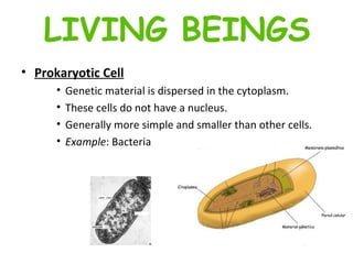 Prokaryotic Cell   Genetic material is dispersed in the cytoplasm.  These cells do not have a nucleus.  Generally more simple and smaller than other cells.  Example : Bacteria   LIVING BEINGS 