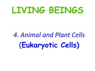 4. Animal and Plant Cells ( Eukaryotic Cells) LIVING BEINGS 
