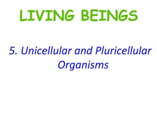 5.   Unicellular and Pluricellular Organisms LIVING BEINGS 