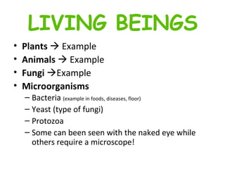 Plants     Example Animals     Example Fungi   Example Microorganisms  Bacteria  (example in foods, diseases, floor)  Yeast (type of fungi)  Protozoa Some can been seen with the naked eye while others require a microscope! LIVING BEINGS 
