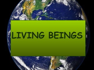 LIVING BEINGS 