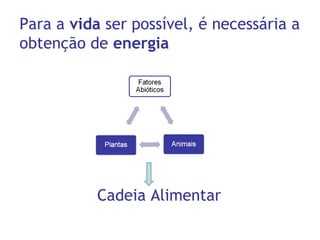 Cadeia Alimentar
Para a vida ser possível, é necessária a
obtenção de energia
 